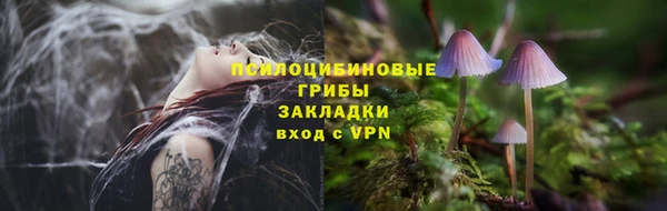 прущие грибы Козельск
