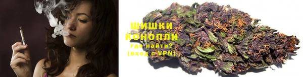 прущие грибы Козельск