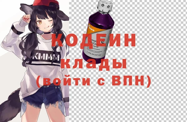 прущие грибы Козельск