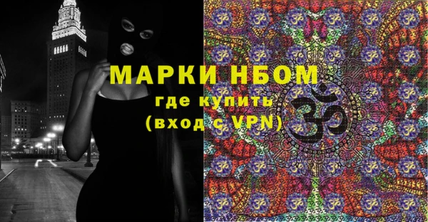 прущие грибы Козельск