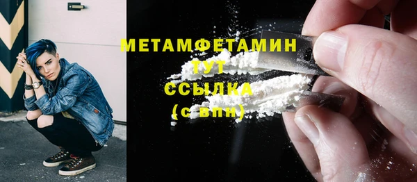 прущие грибы Козельск